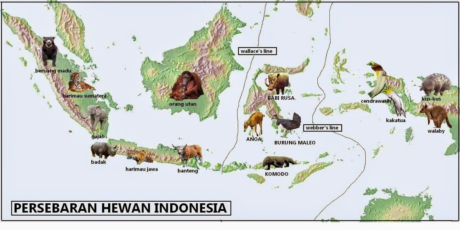 12 Hewan di Indonesia Ini Hampir Punah, Tapi di Mana Peran Generasi Milenial?