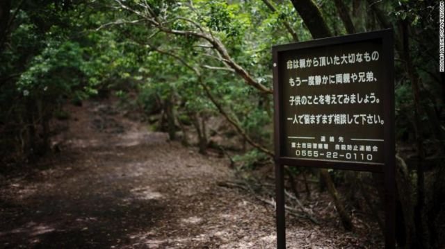 Lihat Lebih Dekat Hutan Aokigahara. Hutan yang Terkenal di Seluruh Jepang untuk Melakukan Bunuh Diri