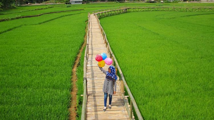 Persawahan Sukorame, Destinasi Hits yang Lagi Viral di Bantul. Kapan Liburan ke Sana?