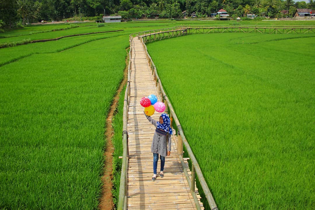 Persawahan Sukorame, Destinasi Hits yang Lagi Viral di Bantul. Kapan Liburan ke Sana?