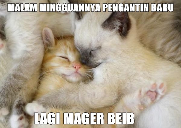 9+ Meme Mager yang Bikin Kamu Makin Semangat buat Nggak ke Mana-Mana. Eits, Jangan Baca di Hari Senin!