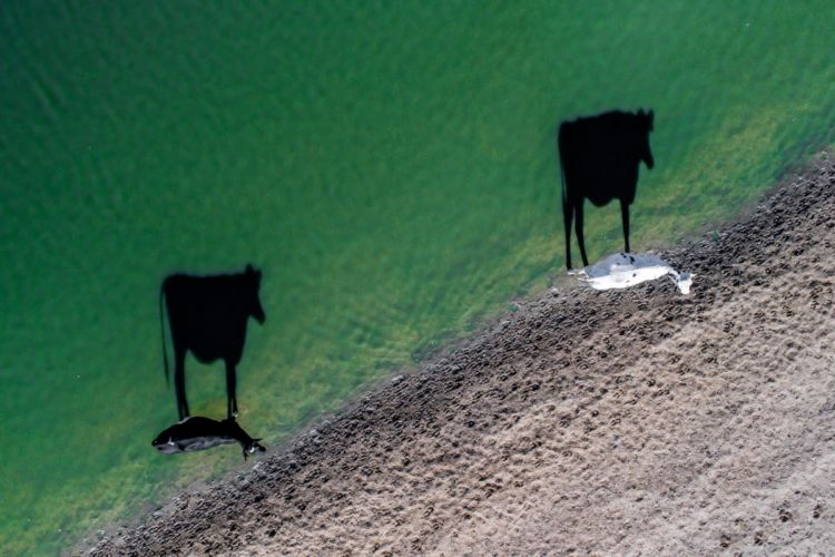 12 Foto Drone Terbaik di Tahun 2017. Referensi Buat Kamu yang Pengen Jago Pake Drone!