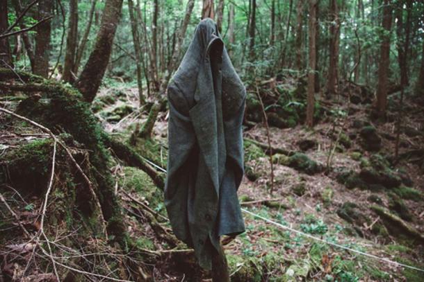 Lihat Lebih Dekat Hutan Aokigahara. Hutan yang Terkenal di Seluruh Jepang untuk Melakukan Bunuh Diri