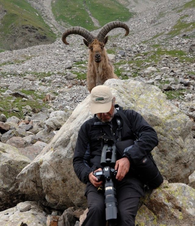 23 Photobomb dengan Hewan sebagai Biang Keroknya, Mau Mengumpat tapi Mereka Sendiri Udah Binatang :(