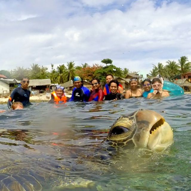 23 Photobomb dengan Hewan sebagai Biang Keroknya, Mau Mengumpat tapi Mereka Sendiri Udah Binatang :(