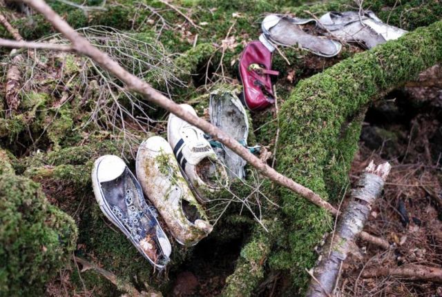 Lihat Lebih Dekat Hutan Aokigahara. Hutan yang Terkenal di Seluruh Jepang untuk Melakukan Bunuh Diri