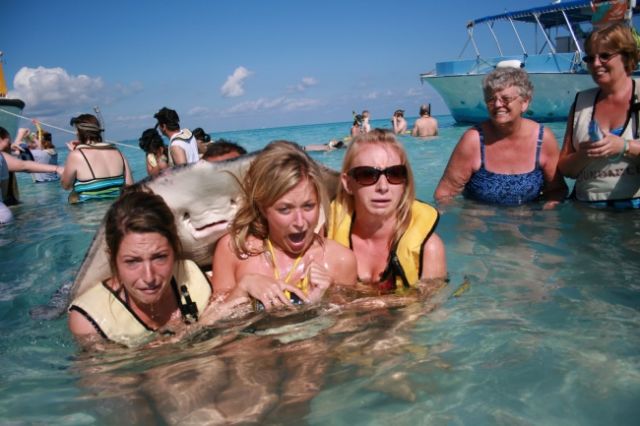 23 Photobomb dengan Hewan sebagai Biang Keroknya, Mau Mengumpat tapi Mereka Sendiri Udah Binatang :(