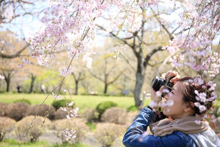 Wah, Jepang Bakal Pungut Pajak 'Sayonara Tax' Buat Turis Asing. Berlaku Mulai Januari 2019 Lho!