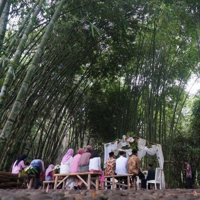 Sensasi Akad & Resepsi di Tengah Kebun Bambu, Terasa Sekali Nuansa Alaminya yang Tradisional dan Guyub