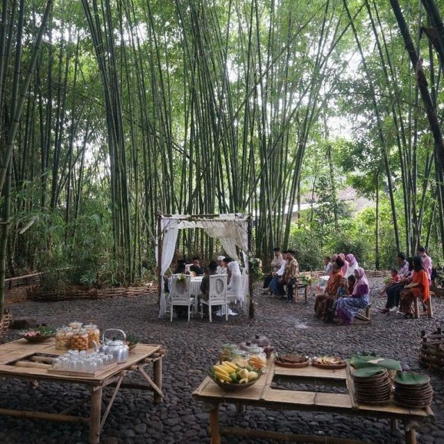 Sensasi Akad & Resepsi di Tengah Kebun Bambu, Terasa Sekali Nuansa Alaminya yang Tradisional dan Guyub