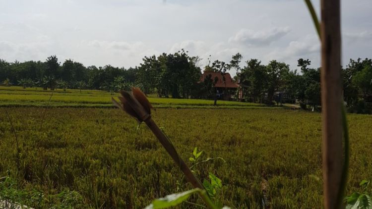 Desa Penadaran, Desa yang Tersembunyi di Tengah Hutan