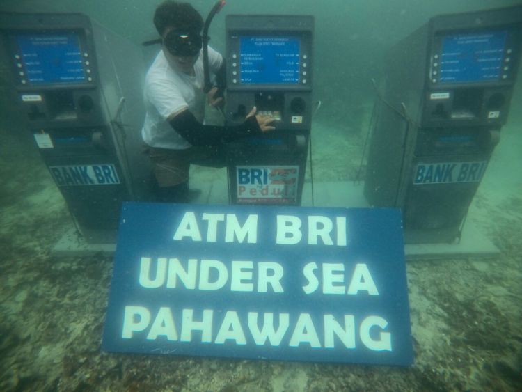 Wow, Ada ATM di Bawah Laut Pulau Pahawang. Dapet Rekor MURI Tapi Dianggap Merusak Lingkungan!