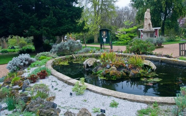 Chelsea Physic Garden: Pond Rockery