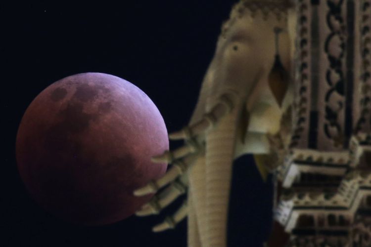 12+ Foto Super Blue Blood Moon yang Menakjubkan dari Seluruh Dunia! Nyesel yang Lewatin Begitu Aja