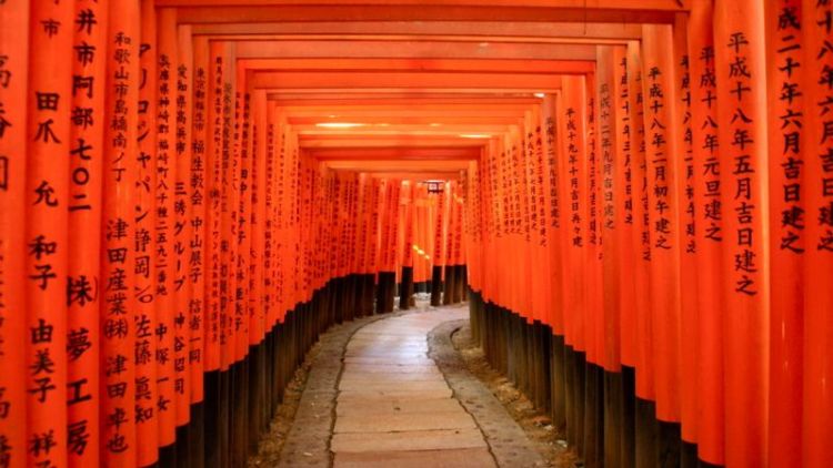 Tempat Bersejarah Tidak Selalu Membosankan, Kuil Fushimi Inari Taisha di Jepang Jawabannya!