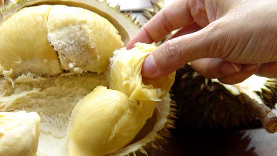 10 Alasan Kenapa Durian Disebut Rajanya Buah-buahan. Banyak Digandrungi Kadang Dibenci Setengah Mati