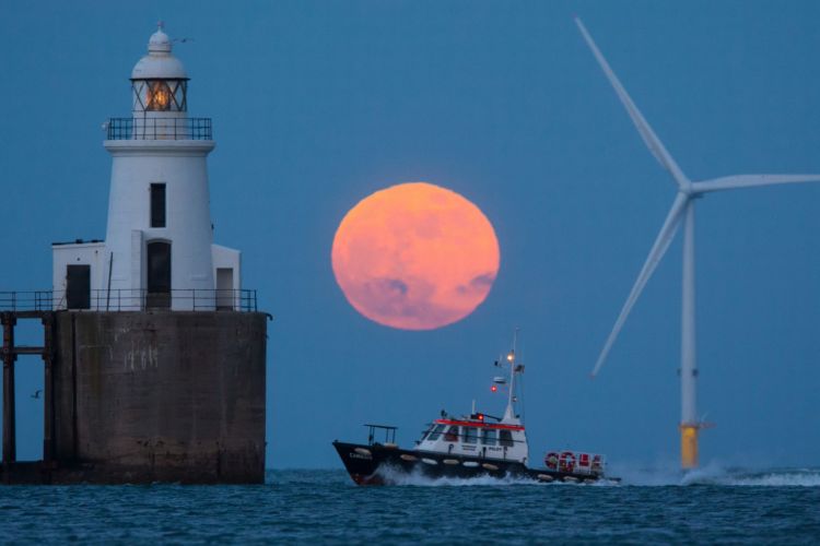 12+ Foto Super Blue Blood Moon yang Menakjubkan dari Seluruh Dunia! Nyesel yang Lewatin Begitu Aja