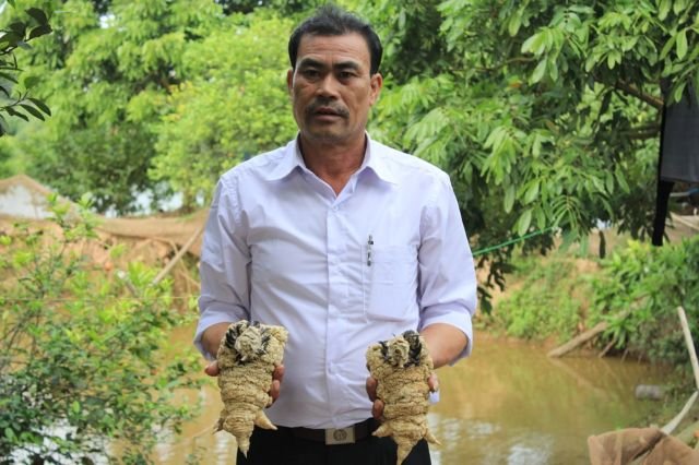 Cakar Super Tebalnya Jadi Incaran, Ayam 'Dong Tao' Asal Vietnam Ini Harganya 300-an Juta Sepasang