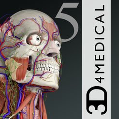 Belajar anatomi lebih menyenangkan dengan sistem 3D :)