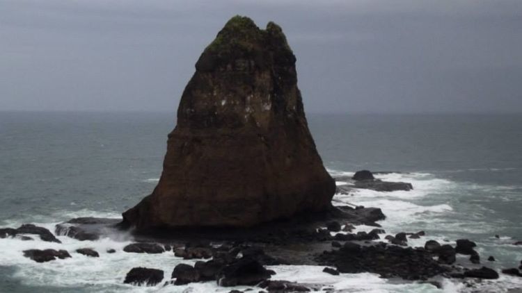 5 Pantai Paling Populer di Jember yang Wajib Kamu Kunjungi