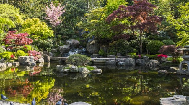 Kyoto Garden: Japanese Garden Since 1991