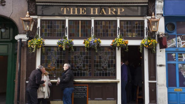 The Harp