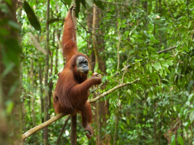 Ini 10 Destinasi Wisata Dunia yang Harus Kamu Kunjungi Sebelum Lenyap dari Muka Bumi!