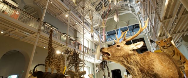 Natural Museum of Scotland