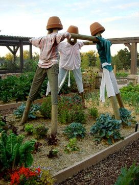 14 Potret Orang-Orangan Sawah Anti Mainstream. Bahkan Udah Ada Lho yang Bentuknya Robot Serigala