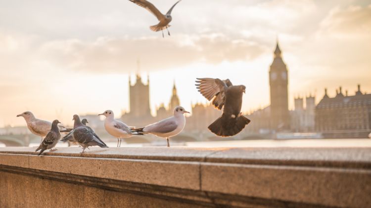 5 Alasan Kenapa UK Harus Kamu Datangi, Entah Untuk Meraih Cita, atau Sekedar Berlibur Semata