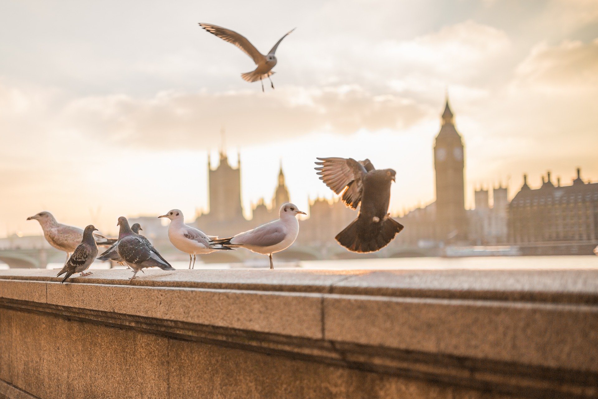 5 Alasan Kenapa UK Harus Kamu Datangi, Entah Untuk Meraih Cita, atau Sekedar Berlibur Semata