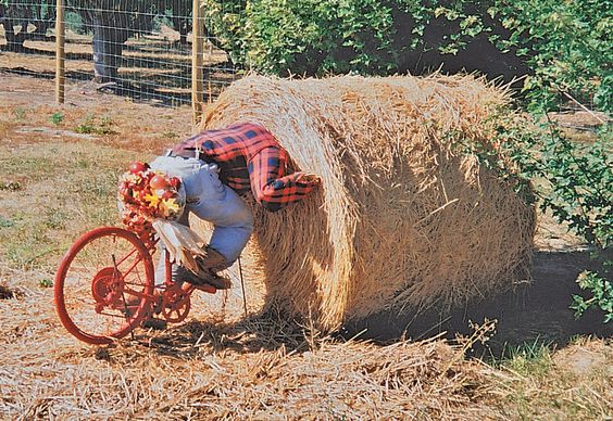 14 Potret Orang-Orangan Sawah Anti Mainstream. Bahkan Udah Ada Lho yang Bentuknya Robot Serigala