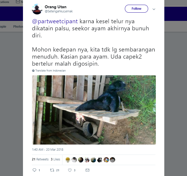 Telur Palsu Kembali Viral, 12 Tanggapan Warganet ini Malah Bikin Ngakak. Sudahlah, itu Cuma Hoaks Lho~