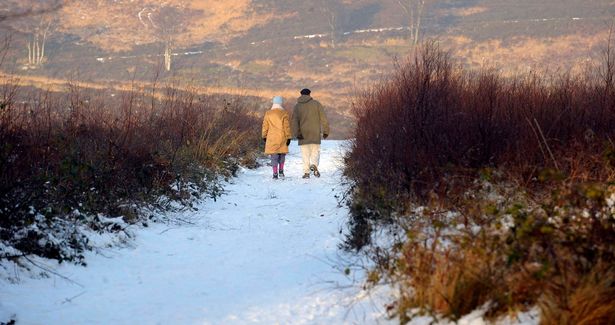 Cannock Chase