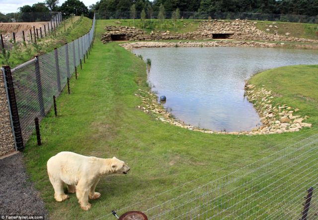 Yorkshire wildlife park