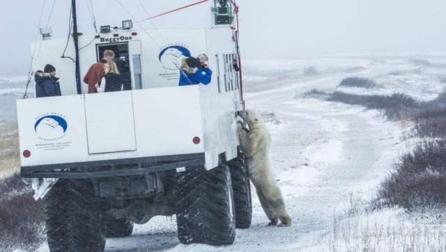 12+ Cara Google Street View Kumpulkan Data Peta dari Seluruh Dunia. Totalitasnya Gila Banget!