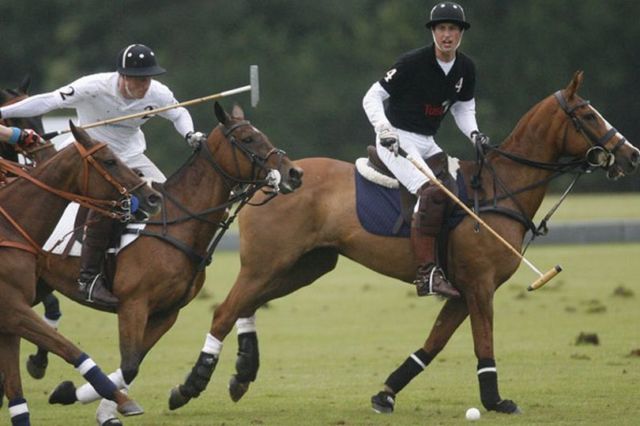 Olahraga Polo