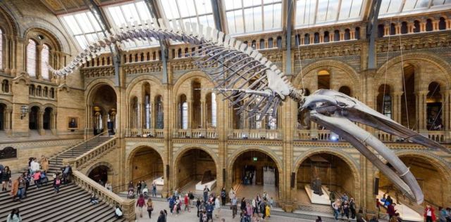 Natural History Museum