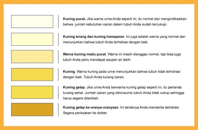 tabel warna urine