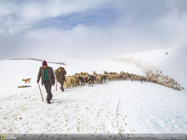 10 Foto Keren dalam Kontes National Geographic Travel Photographer of The Year 2018. Ikutan Kontesnya Yuk!