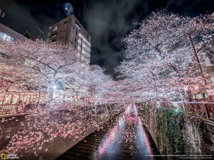 10 Foto Keren dalam Kontes National Geographic Travel Photographer of The Year 2018. Ikutan Kontesnya Yuk!