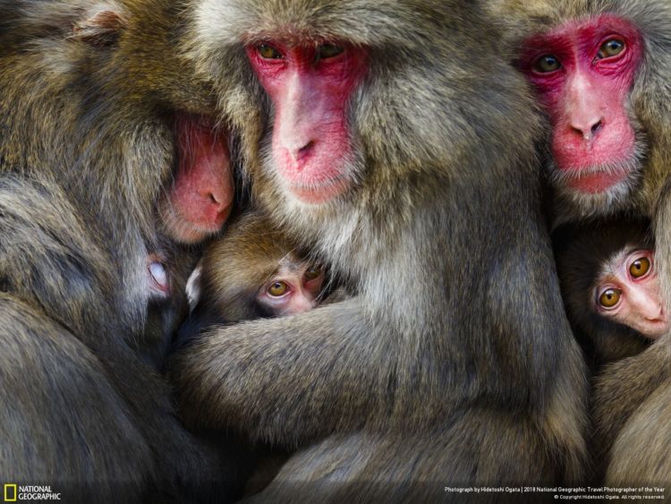 10 Foto Keren dalam Kontes National Geographic Travel Photographer of The Year 2018. Ikutan Kontesnya Yuk!