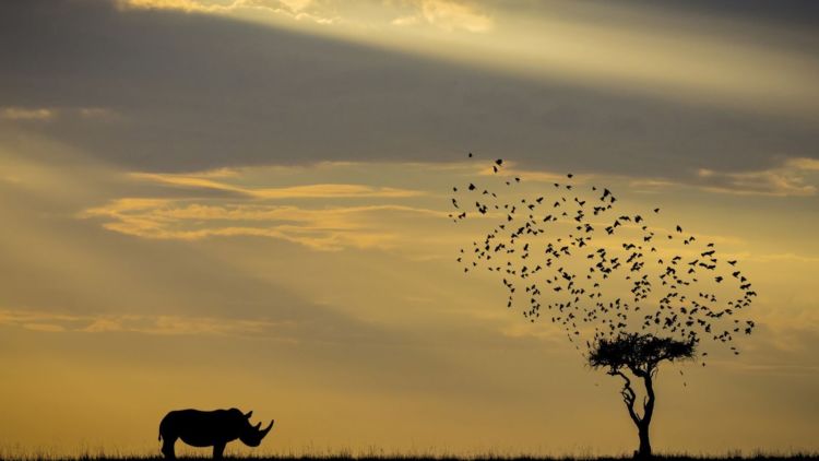 10 Foto Keren dalam Kontes National Geographic Travel Photographer of The Year 2018. Ikutan Kontesnya Yuk!