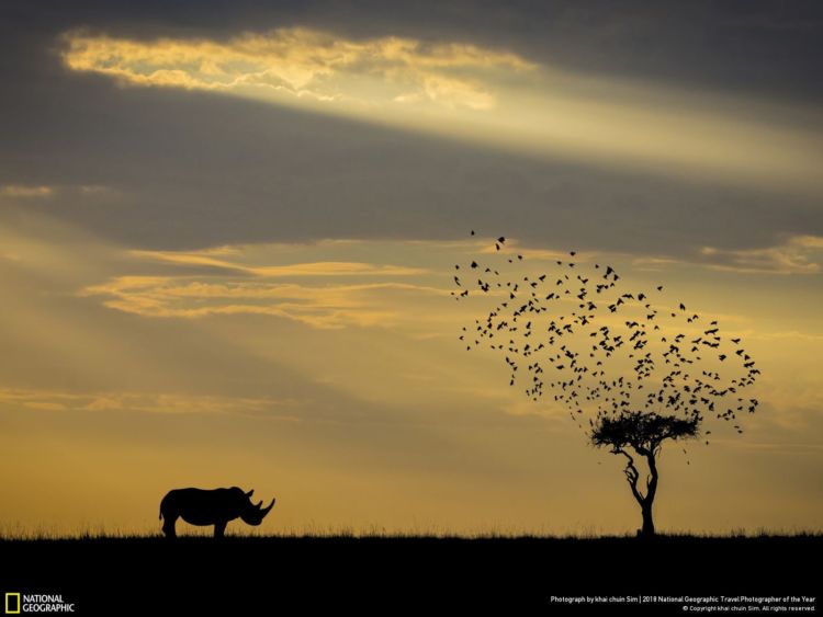 10 Foto Keren dalam Kontes National Geographic Travel Photographer of The Year 2018. Ikutan Kontesnya Yuk!