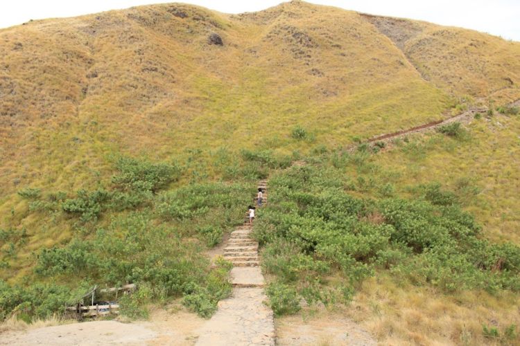 Pulau Padar, Salah Satu Pulau Paling Instagramable di Indonesia. Begini Potret Pesonanya yang Tiada Tara!