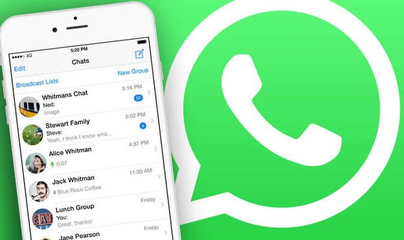 Kenapa Begitu Mudah Membagikan Nomor Whatsapp di Berbagai Platform Media Sosial? Heran.