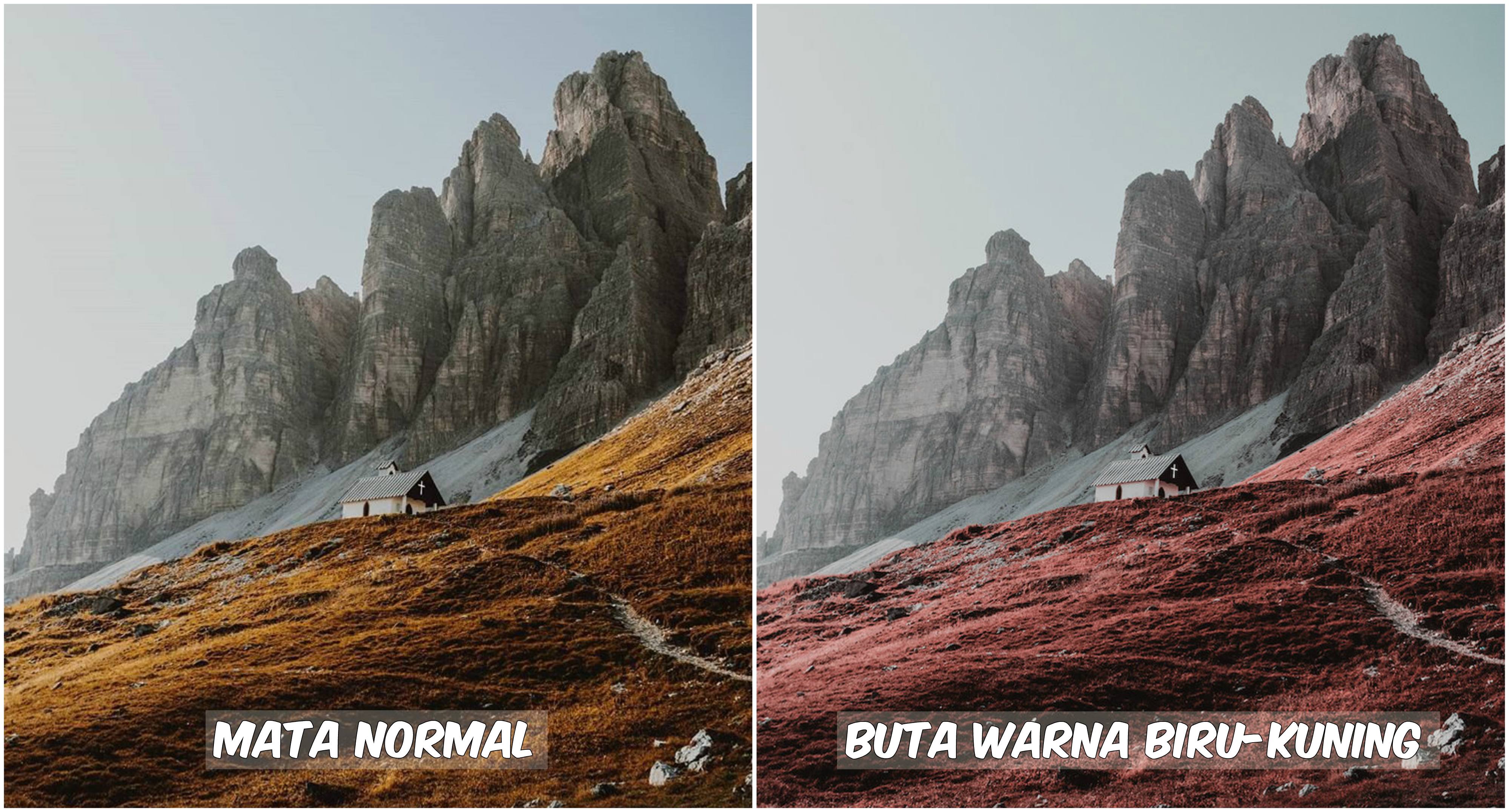 Begini Pemandangan yang Dilihat oleh Penderita Buta Warna. Fotografer Ini Menjelaskannya Lewat Foto