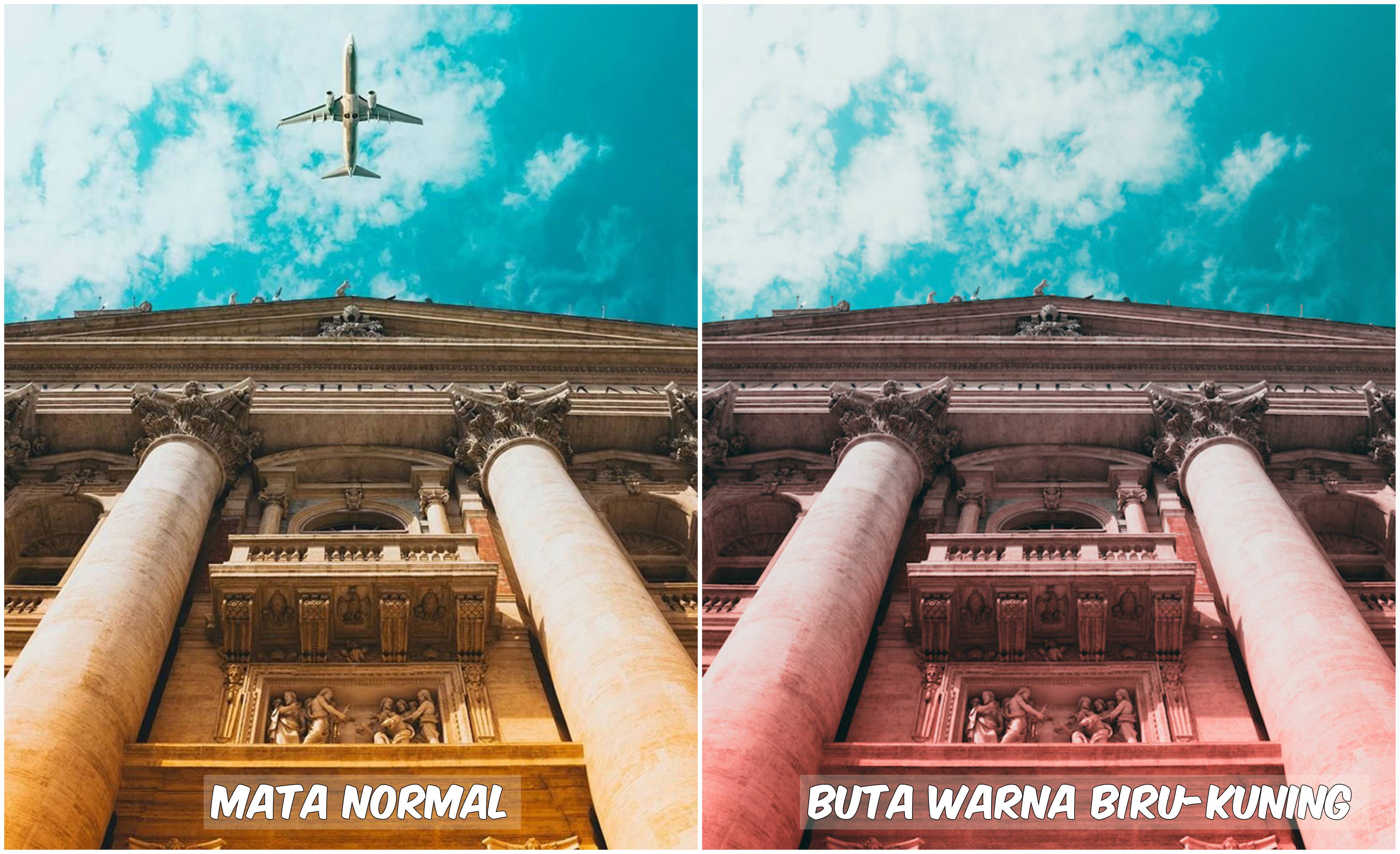 Begini Pemandangan yang Dilihat oleh Penderita Buta Warna. Fotografer Ini Menjelaskannya Lewat Foto