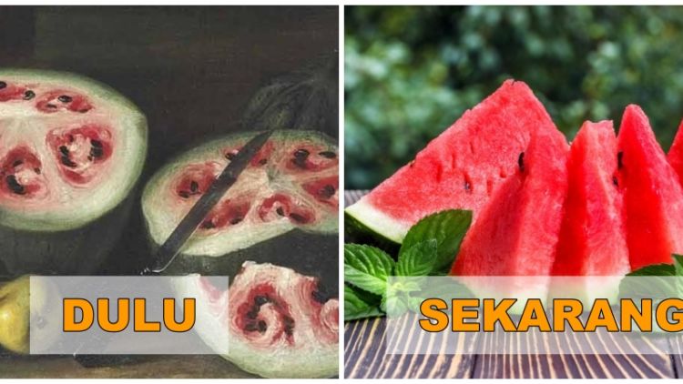 7+ Potret Buah dan Sayur Sebelum Direkayasa Genetik. Beda Banget Sama yang Kita Kenal Sekarang!