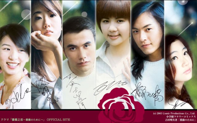 Poster The Rose